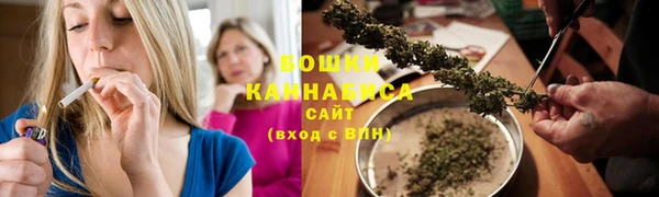 мдпв Ладушкин