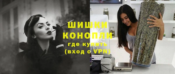 мдпв Ладушкин