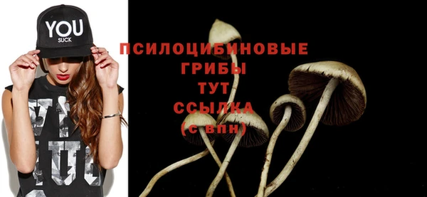 мдпв Ладушкин